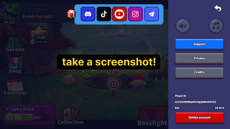 Account ID screenshot 2